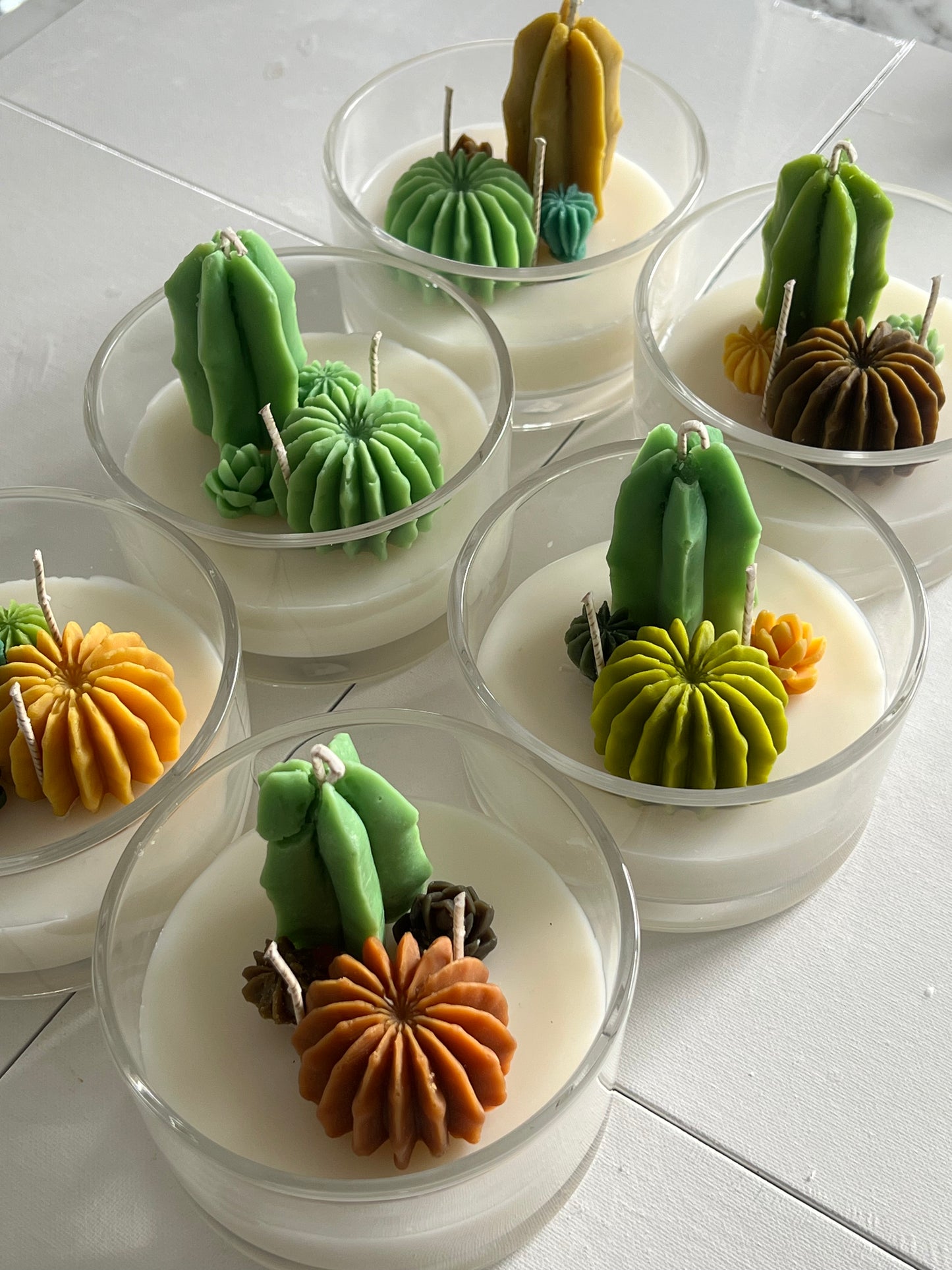 Cacti Dessert