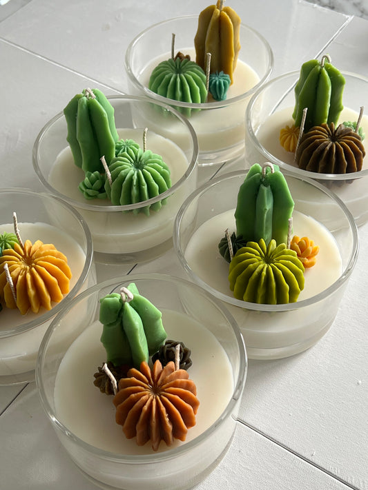 Cacti Dessert